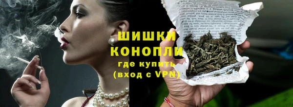 прущие грибы Верхний Тагил