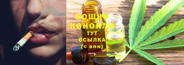 прущие грибы Верхний Тагил