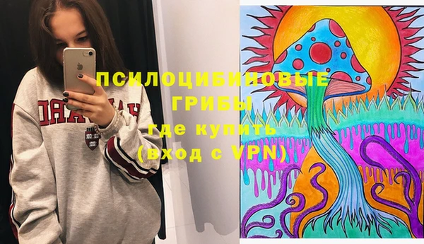прущие грибы Верхний Тагил