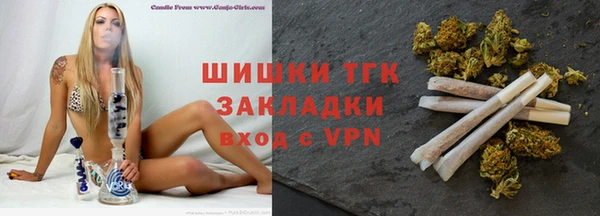прущие грибы Верхний Тагил