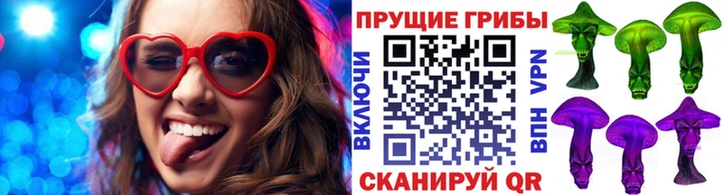Псилоцибиновые грибы Cubensis  Купить где  Нижние Серги 
